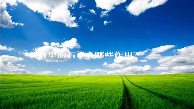 鱼缸里的石子有哪些作用？